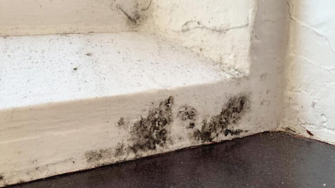 Preventing Mold and Mildew